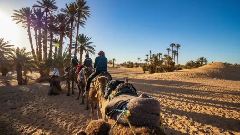 Travelers riding camels through palm-lined sand dunes in the Moroccan desert during a Sahara trek.
